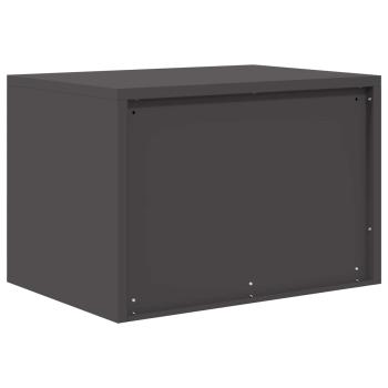 Aufbewahrungsschrank mit Speicher Schwarz 60 x 40 x 40 cm