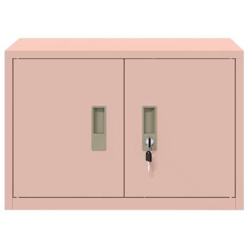 Aufbewahrungsschrank Rosa 60 x 40 x 40 cm Kaltgewalzter Stahl