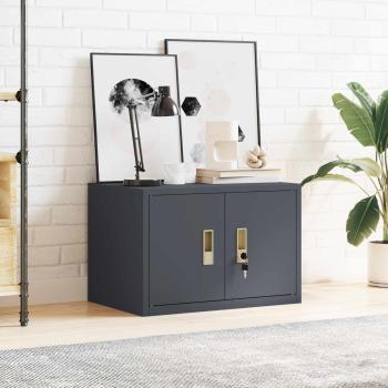 Aufbewahrungsschrank mit Speicher Anthrazit 60 x 40 x 40 cm