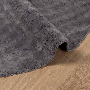 Bereichsteppiche Rund SIROLO Anthrazit ? 120 CM Polyester