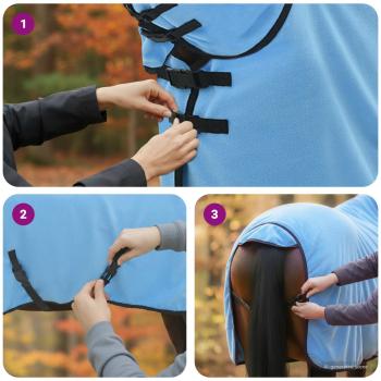 Pferdedecke Volles Aqua 75 cm Polyester