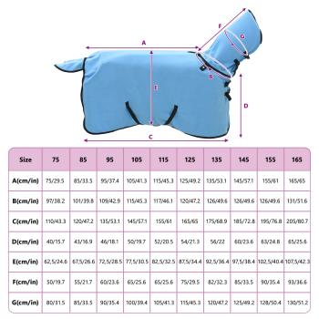 Pferdedecke Volles Aqua 75 cm Polyester