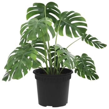 Runder Blumentopf 24 pcs Schwarz Ø 12,5 x 10 cm Kunststoff