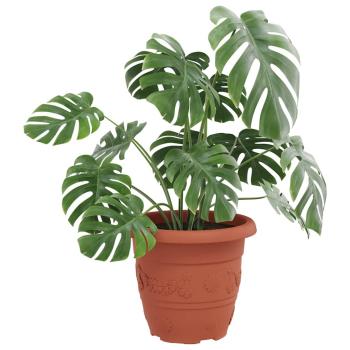 Runder Blumentopf 6 pcs Ziegelrot Ø 26 x 21,5 cm Kunststoff