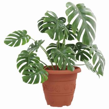 Runder Blumentopf 24 pcs Ziegelrot Ø 26 x 21,5 cm Kunststoff