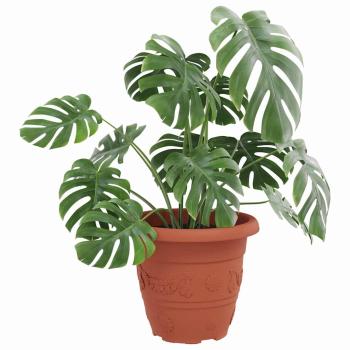 Runder Blumentopf 24 pcs Ziegelrot Ø 26 x 21,5 cm Kunststoff