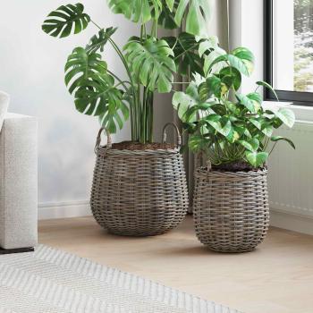 ARDEBO.de - Blumentopf Körbchen mit Speicher 2 pcs Grau Lacak Rattan
