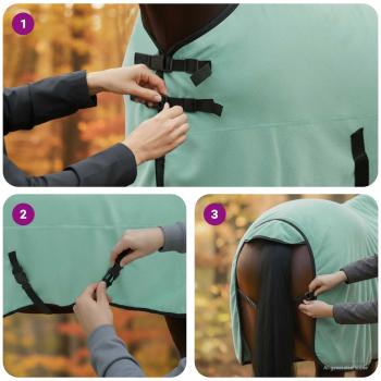 Pferdedecke Sondergrün Polyester