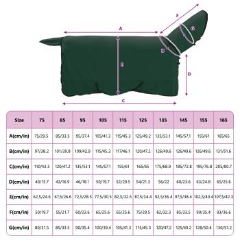 Pferdedecke Dunkelgrün Polyester