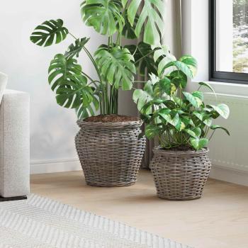 ARDEBO.de - Blumentopfkorb mit Speicher 2 pcs Grau Lacak Rattan