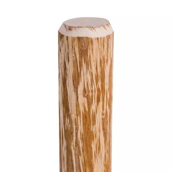 ARDEBO.de - Zaunpfosten mit Spitzen Enden 4 Stk. Haselholz 120 cm