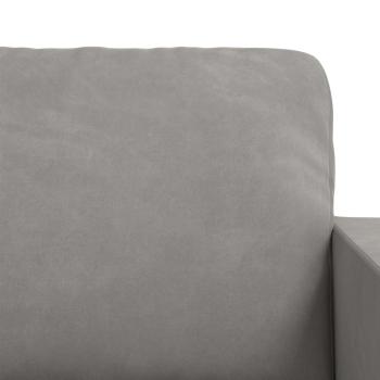 Sofa 2 pcs Hellgrau 228 x 78 x 80 cm Samt