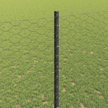 Zaun mit Pfosten Grau 1,4 x 100 m Stahl und PVC