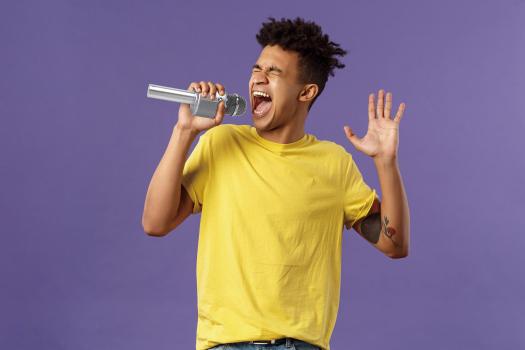 Karaoke-Mikrofon mit Bluetooth-Lautsprecher, USB- und Micro SD-Player