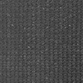 Außenrollo 125 (B)x140 (H) cm Anthrazit