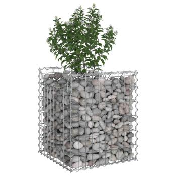 Gabionen-Hochbeet 50 x 50 x 60 cm Verzinkter Stahl Silber