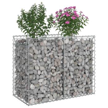 Gabionen-Hochbeet 100 x 50 x 80 cm Verzinkter Stahl Silber