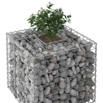 Gabionen-Hochbeet 60 x 60 x 55 cm Verzinkter Stahl Silber
