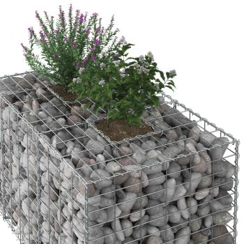 Gabionen-Hochbeet 100 x 60 x 55 cm Verzinkter Stahl Silber