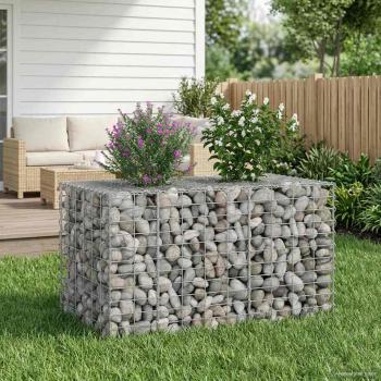 Gabionen-Hochbeet 100 x 60 x 55 cm Verzinkter Stahl Silber