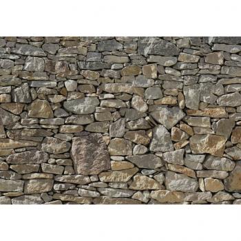 ARDEBO.de - Komar Fototapete Stone Wall 368×254 cm 8-727