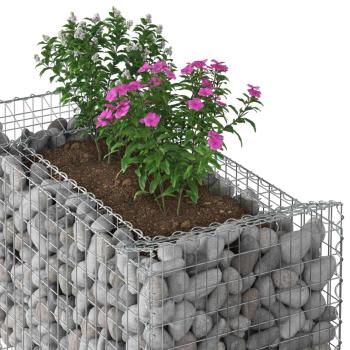 Gabionen-Hochbeet 50 x 100 x 100 cm Verzinkter Stahl Silber
