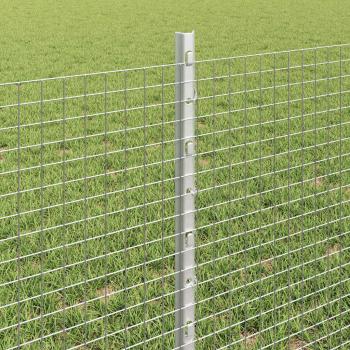 Geschweißter Drahtzaun mit Pfosten 10 x 0,6 m Verzinkter Stahl