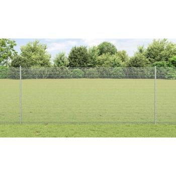 Geschweißter Drahtzaun mit Pfosten 25 x 1 m Verzinkter Stahl