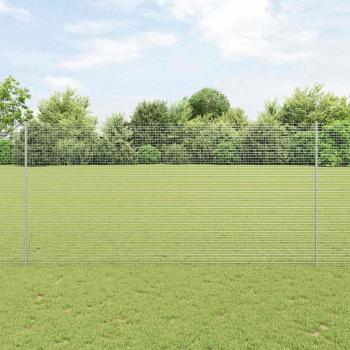 ARDEBO.de - Geschweißter Drahtzaun mit Pfosten 25 x 1,6 m Verzinkter Stahl