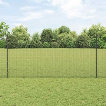 ARDEBO.de - Geschweißter Drahtzaun mit Pfosten 25 x 1,2 m Grau Netz