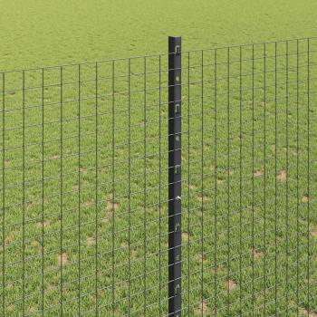 Geschweißter Drahtzaun mit Pfosten 25 x 1,5 m Verzinkter Stahl