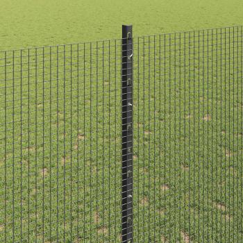 Zaun mit Pfosten Grau 1,4 x 50 m Stahl und PVC