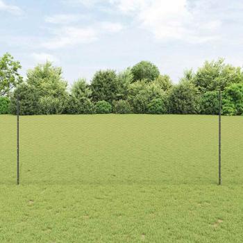 ARDEBO.de - Sechseckzaun mit Pfosten 10 x 1,4 m PVC-beschichteter Stahl
