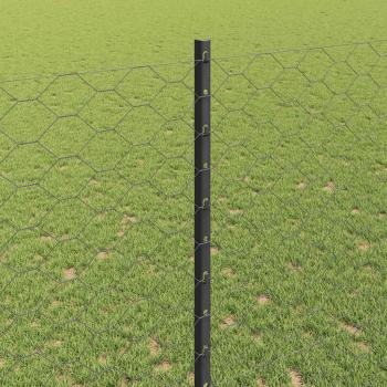 Sechseckzaun mit Pfosten 10 x 1,4 m PVC-beschichteter Stahl