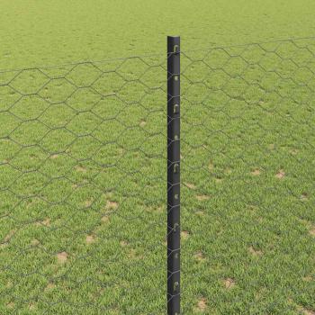 Zaun mit Pfosten Grau 1,5 x 10 m Stahl und PVC