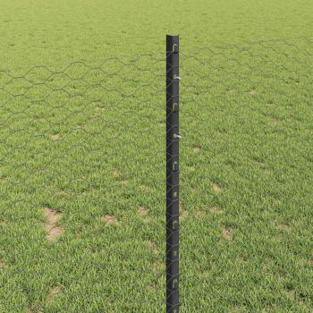 Zaun mit Pfosten Grau 1 x 25 m Stahl