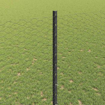 Sechseckzaun mit Pfosten 50 x 1,4 m PVC-beschichteter Stahl