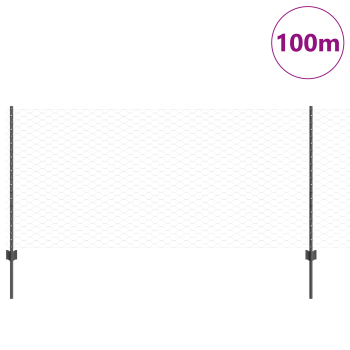 Zaun mit Pfosten Grau 1 x 100 m Stahl und PVC