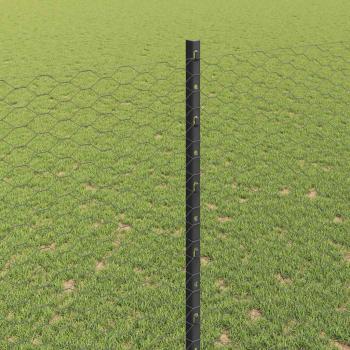 Sechseckzaun mit Pfosten 100 x 1,6 m PVC-beschichteter Stahl