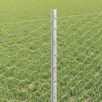 Zaun mit Pfosten Silber 0,6 x 10 m Stahl
