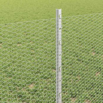 Zaun mit Pfosten Silber 0,6 x 50 m Stahl