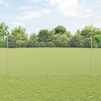 ARDEBO.de - Sechseckzaun mit Pfosten 50 x 1,6 m Verzinkter Stahl Silber