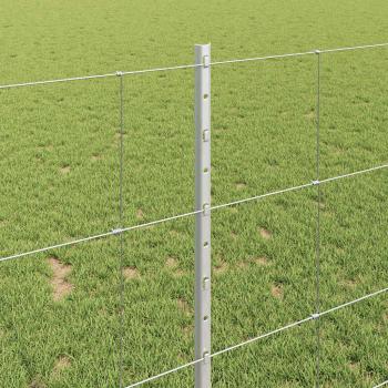 Zaun mit Pfosten Silber 1 x 100 m