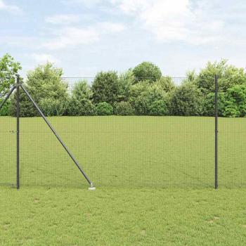 ARDEBO.de - Geschweißter Drahtzaun mit Stacheln 25 x 1,5 m Grau Netz