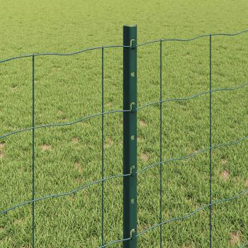 Euro-Zaun mit Pfosten 10 x 0,8 m PVC-beschichteter Stahl Grün