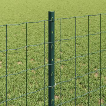 Euro-Zaun mit Pfosten 10 x 0,8 m PVC-beschichteter Stahl Grün