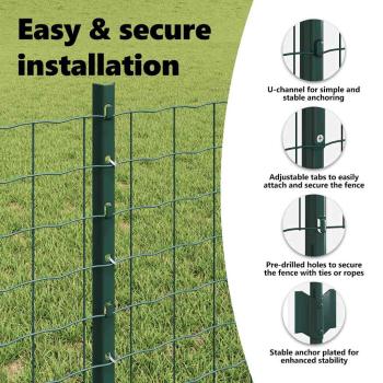 Euro-Zaun mit Pfosten 10 x 0,6 m PVC-beschichteter Stahl Grün