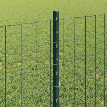 Euro-Zaun mit Pfosten 25 x 0,8 m PVC-beschichteter Stahl Grün