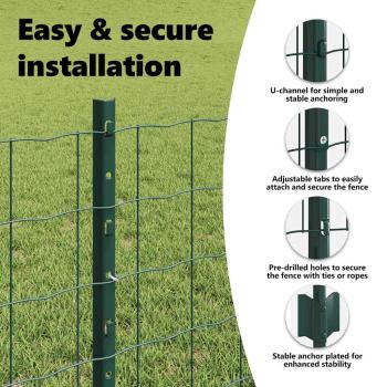 Eurozaun mit Pfosten 50 x 0,6 m PVC-beschichteter Stahl Grün