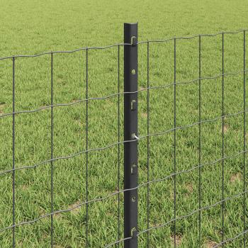 Euro-Zaun mit Pfosten 25 x 0,6 m PVC-beschichteter Stahl Grau